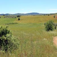 Земельный участок в Греции, Центральная Македония, Центр, 8932 кв.м.