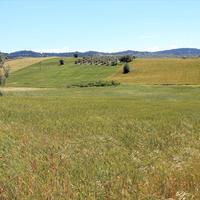 Земельный участок в Греции, Центральная Македония, Центр, 8932 кв.м.