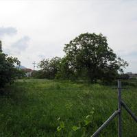 Land plot in Greece, Ostrova