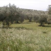Land plot in Greece, Central Macedonia, Center
