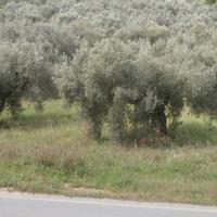 Land plot in Greece, Central Macedonia, Center