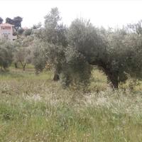 Land plot in Greece, Central Macedonia, Center