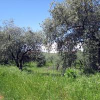 Land plot in Greece, Kavala