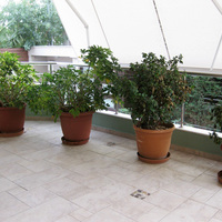 Townhouse in Greece, Attica, Athens, 270 sq.m.