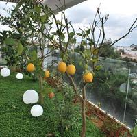 Квартира в Греции, Аттика, Афины, 116 кв.м.