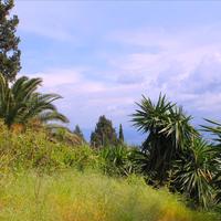 Other in Greece, Ionian Islands, 240 sq.m.