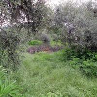 Land plot in Greece, Ostrova