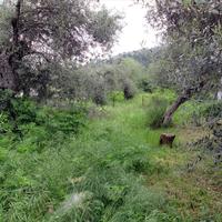 Land plot in Greece, Ostrova