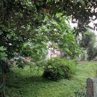 Land plot in Greece, Ostrova