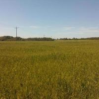 Land plot in Greece, Dode, 29500 sq.m.