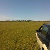 Land plot in Greece, Dode, 29500 sq.m.