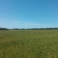 Land plot in Greece, Dode, 29500 sq.m.