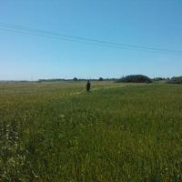 Land plot in Greece, Dode, 29500 sq.m.