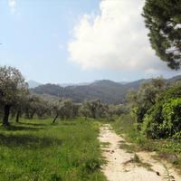 Land plot in Greece, Ostrova