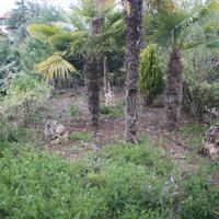 Villa in Greece, Central Macedonia, Center, 300 sq.m.