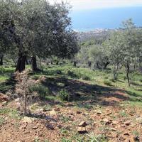 Land plot in Greece, Kavala