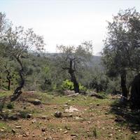 Land plot in Greece, Kavala