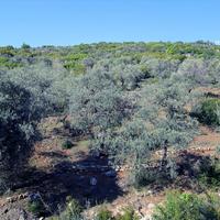 Land plot in Greece, Kavala