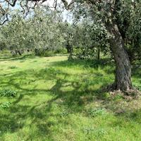 Земельный участок в Греции, Кавала