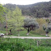 Земельный участок в Греции, Кавала