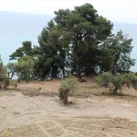 Land plot in Greece, Central Macedonia, Center