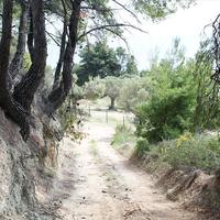 Land plot in Greece, Central Macedonia, Center