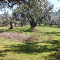 Land plot in Greece, Kavala