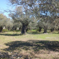 Land plot in Greece, Kavala