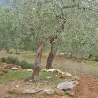 Земельный участок в Греции, Кавала