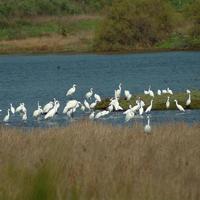 Вилла в Греции, Ионические острова, 250 кв.м.