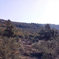 Land plot in Greece, Kavala, 13000 sq.m.