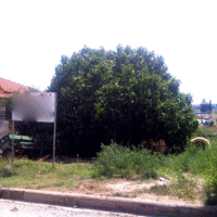 Land plot in Greece, Central Macedonia, Khal, 640 sq.m.