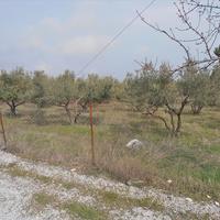Land plot in Greece, Central Macedonia, Center, 4700 sq.m.