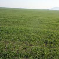 Land plot in Greece, Central Macedonia, Khal, 200000 sq.m.