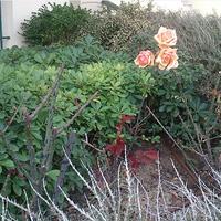 Другое в Греции, Центральная Македония, Центр, 159 кв.м.