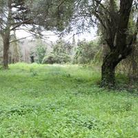 Land plot in Greece, Ionian Islands