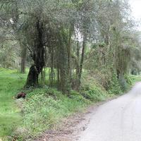 Land plot in Greece, Ionian Islands