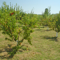 Other in Greece, 120 sq.m.