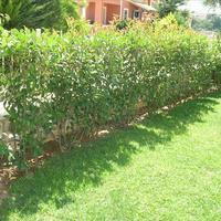 Flat in Greece, Ionian Islands, 60 sq.m.