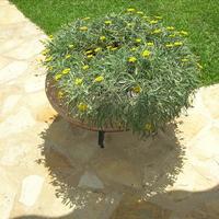 Flat in Greece, Ionian Islands, 60 sq.m.