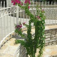 Flat in Greece, Ionian Islands, 60 sq.m.