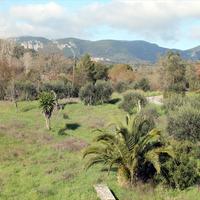 Land plot in Greece, Ionian Islands, 120 sq.m.