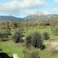 Land plot in Greece, Ionian Islands, 120 sq.m.
