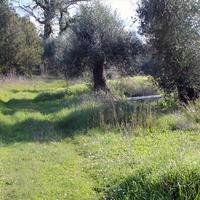 Land plot in Greece, Ionian Islands, 120 sq.m.
