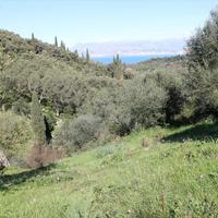 Land plot in Greece, Ionian Islands, 6700 sq.m.