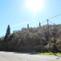 Land plot in Greece, Ionian Islands, 6700 sq.m.