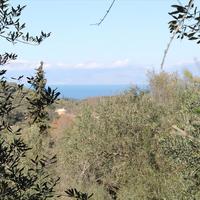 Land plot in Greece, Ionian Islands, 5000 sq.m.