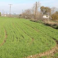 Land plot in Greece, Central Macedonia, Center, 4500 sq.m.