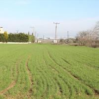 Land plot in Greece, Central Macedonia, Center, 4500 sq.m.