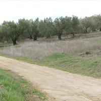 Земельный участок в Греции, Центральная Македония, Центр, 1410 кв.м.